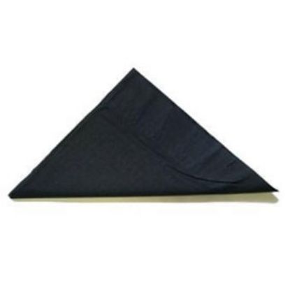 Picture of Napkin 2 Ply Dinner Black 