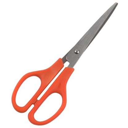 Picture of Scissors Stainless Steel 215mm Orange Grip