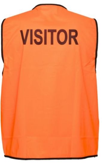 Picture of Safety Vest Yellow Day Only  Printed "Visitor"