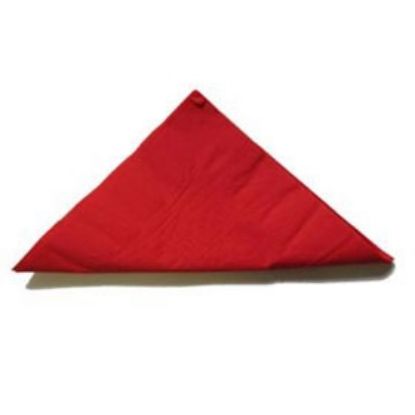 Picture of Napkin 2 Ply Dinner Red