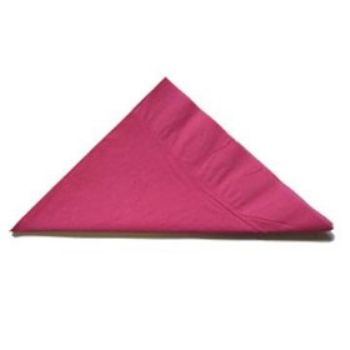 Picture of Napkin 2 Ply Dinner Magenta