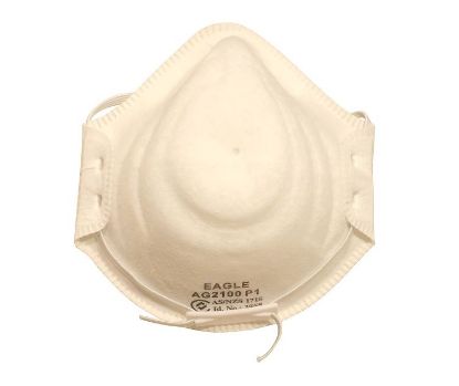 Picture of P1 Standard Dome Disposable Respirators Moulded 