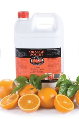 Picture of ORANGE SQUIRT Spray & Wipe Cleaner 5L
