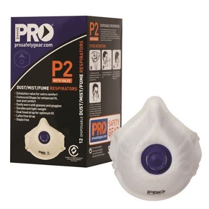 Picture of Prochoice P2 Valved Respirators - PC321