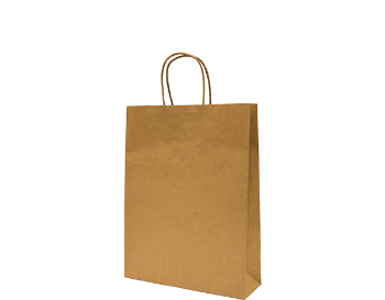 Picture of Carry Bag Brown Paper Twist Handle 340 x 260 + 80 Small 