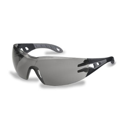 Picture of Safety Glasses Pheos - Black/Grey