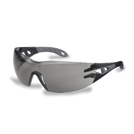 Picture of Safety Glasses Pheos - Black/Grey